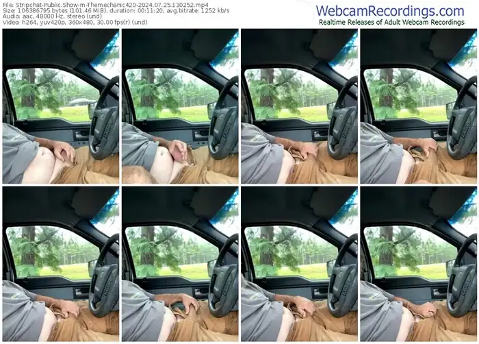 stripchat-themechanic420-07-25-2024-13-02-52