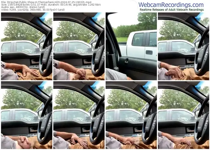 stripchat-themechanic420-07-25-2024-19-03-21