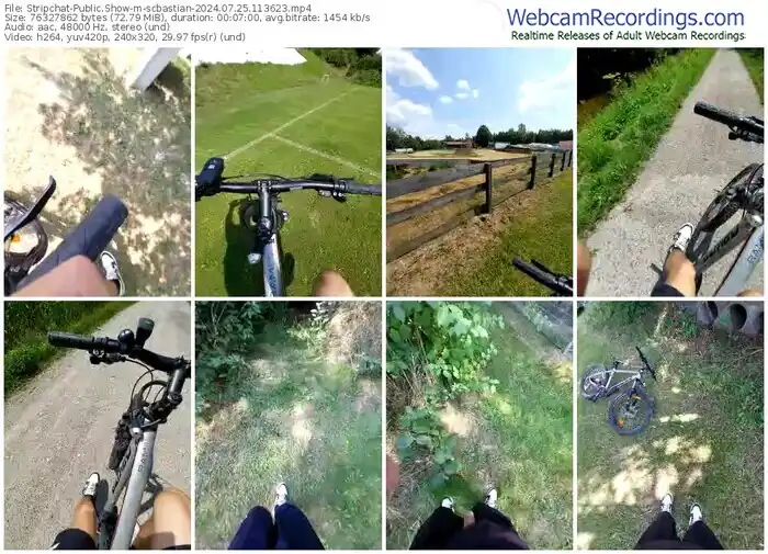 stripchat-scbastian-07-25-2024-11-36-23