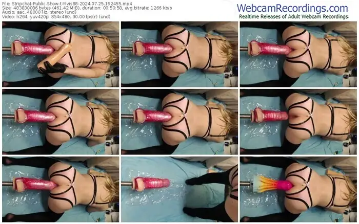 stripchat-ylvis88-07-25-2024-19-24-55