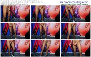 stripchat-destroy_the_bimbo-07-26-2024-03-02-09