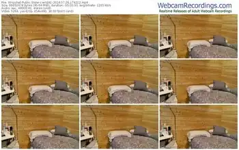 stripchat-wild41-07-26-2024-17-42-22