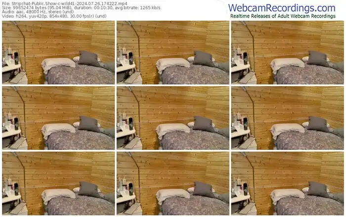 stripchat-wild41-07-26-2024-17-42-22