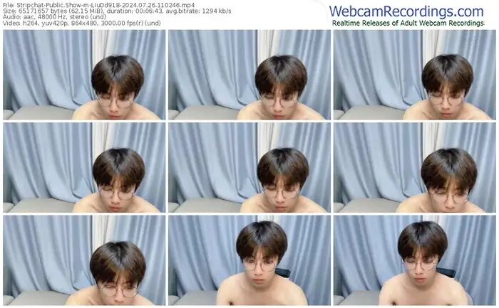 stripchat-liudd918-07-26-2024-11-02-46