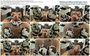 stripchat-nihs1-07-26-2024-06-22-13