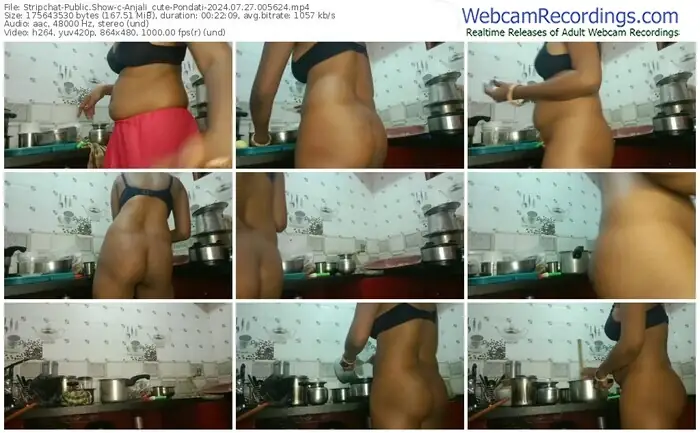 stripchat-anjali_cute-pondati-07-27-2024-00-56-24