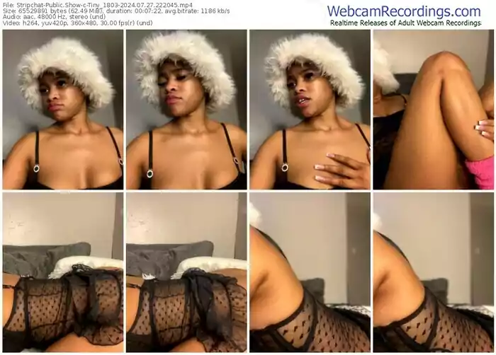 stripchat-tiny_1803-07-27-2024-22-20-45