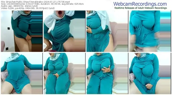 stripchat-amalarabic-07-27-2024-17-57-39