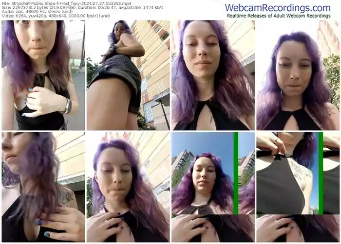 stripchat-frost_foxy-07-27-2024-05-33-53