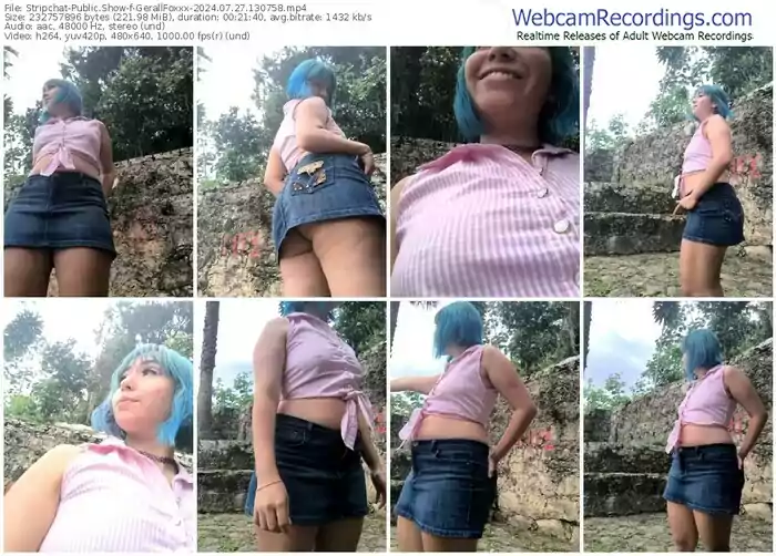 stripchat-gerallfoxxx-07-27-2024-13-07-58