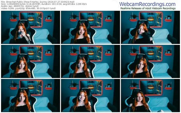 stripchat-harley_quinsy-07-27-2024-03-44-23