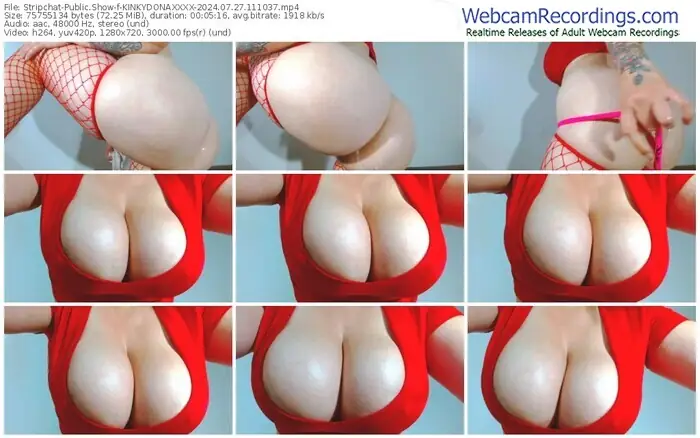 stripchat-kinkydonaxxxx-07-27-2024-11-10-37