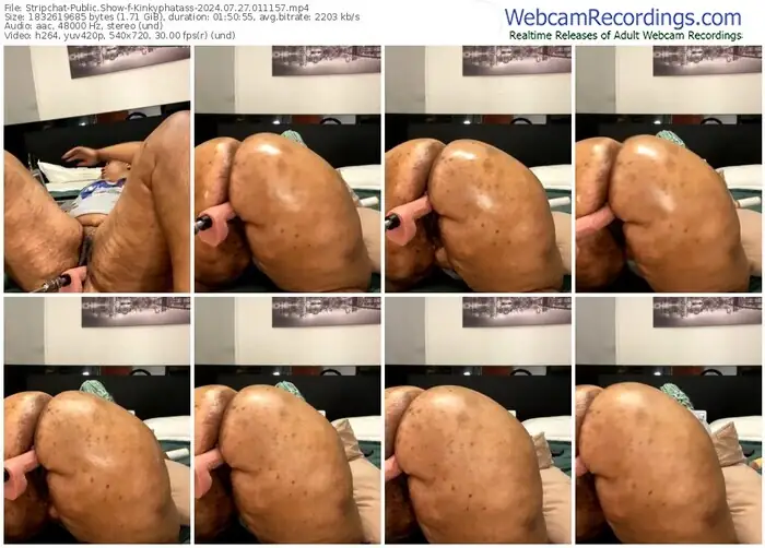 stripchat-kinkyphatass-07-27-2024-01-11-57