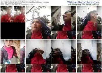 stripchat-lunapage-07-27-2024-11-47-55