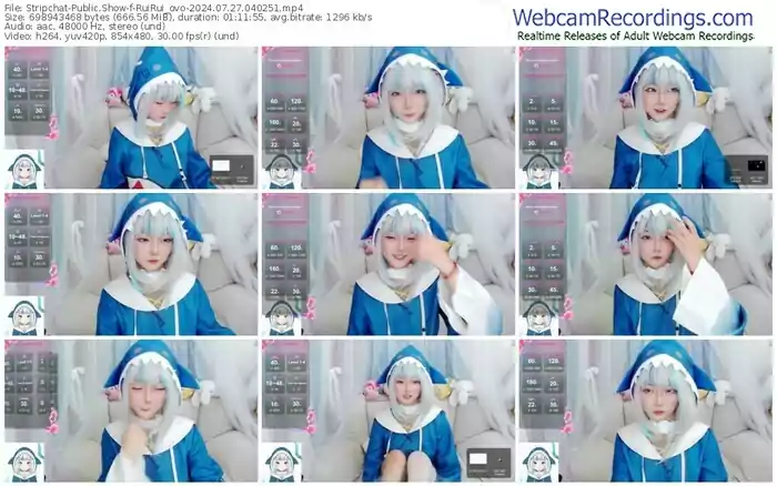 stripchat-ruirui_ovo-07-27-2024-04-02-51