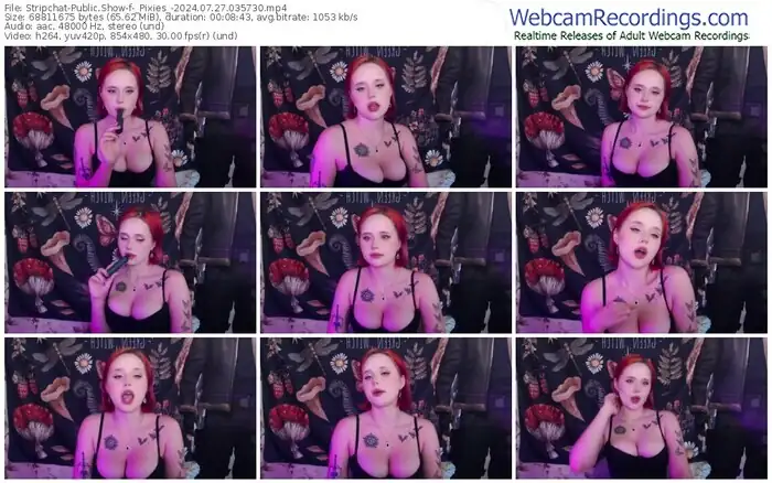 stripchat-_pixies_-07-27-2024-03-57-30