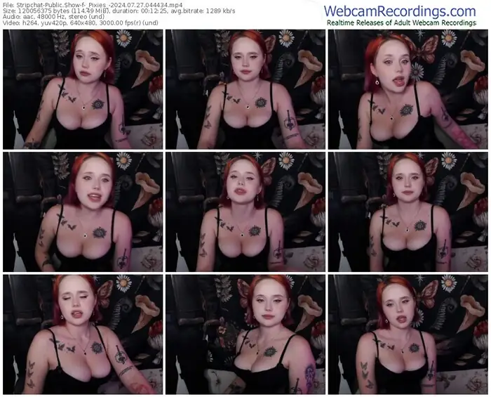 stripchat-_pixies_-07-27-2024-04-44-34