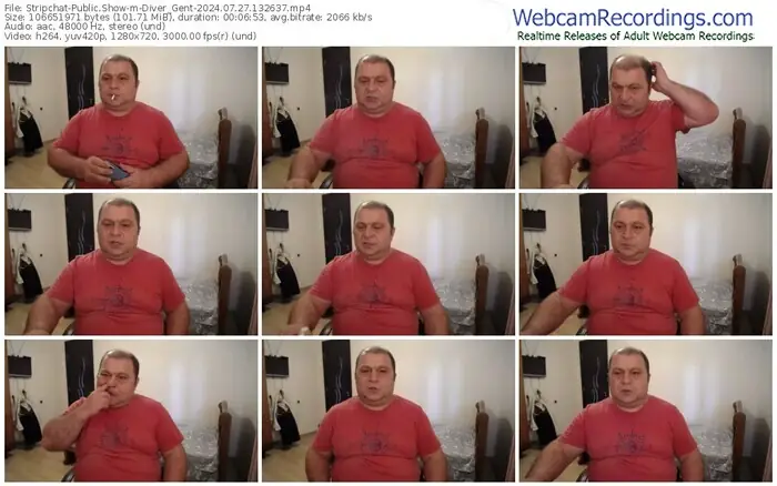 stripchat-diver_gent-07-27-2024-13-26-37