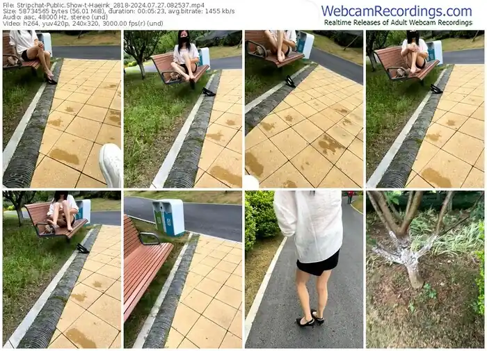 stripchat-haeink_2818-07-27-2024-08-25-37