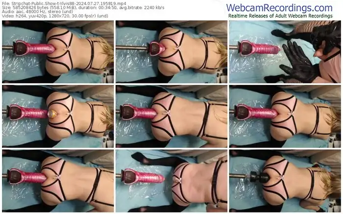 stripchat-ylvis88-07-27-2024-19-58-19