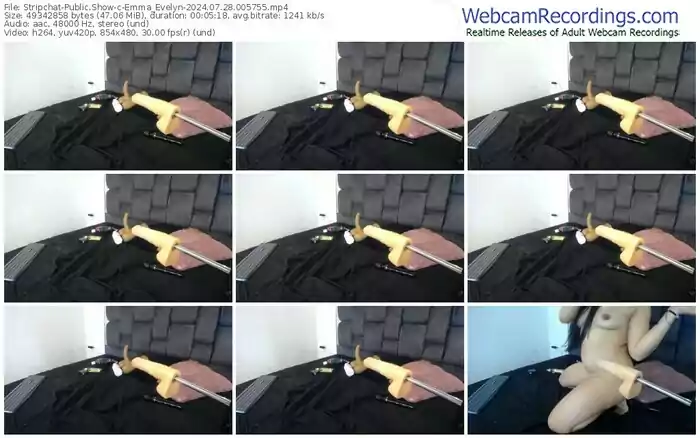 stripchat-emma_evelyn-07-28-2024-00-57-55