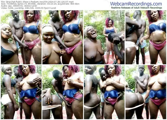 stripchat-rediant_two256-07-28-2024-12-02-37