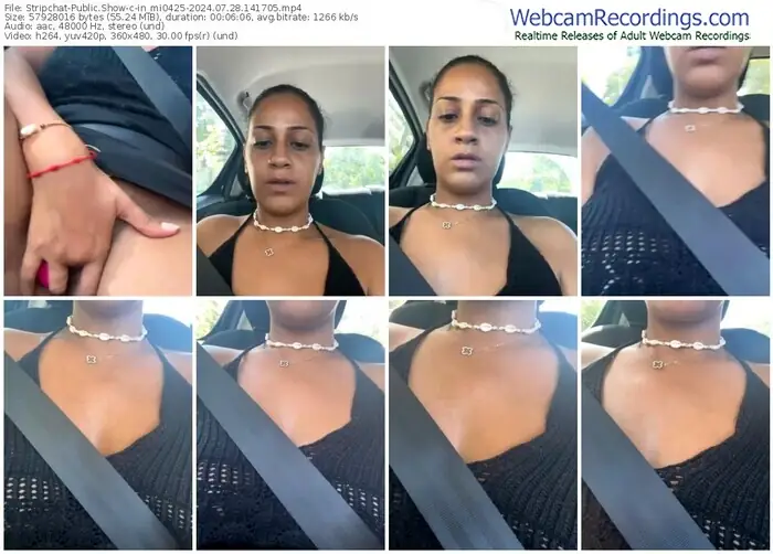 stripchat-in_mi0425-07-28-2024-14-17-05