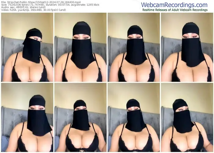 stripchat-dina012-07-28-2024-18-44-30