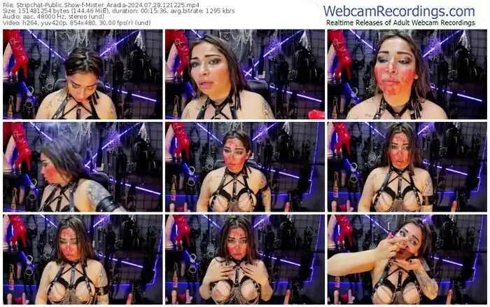 stripchat-mister_aradia-07-28-2024-12-12-25