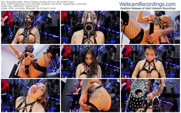 stripchat-mister_aradia-07-28-2024-19-58-57