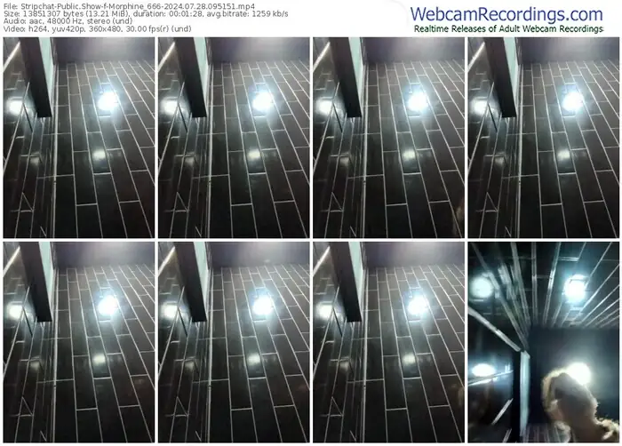 stripchat-morphine_666-07-28-2024-09-51-51