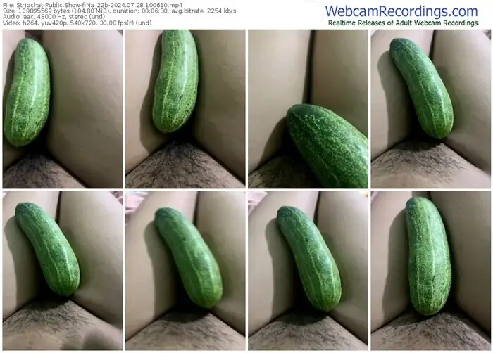 stripchat-na_22b-07-28-2024-10-06-10