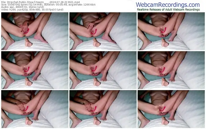 stripchat-naomi____-07-28-2024-21-36-21