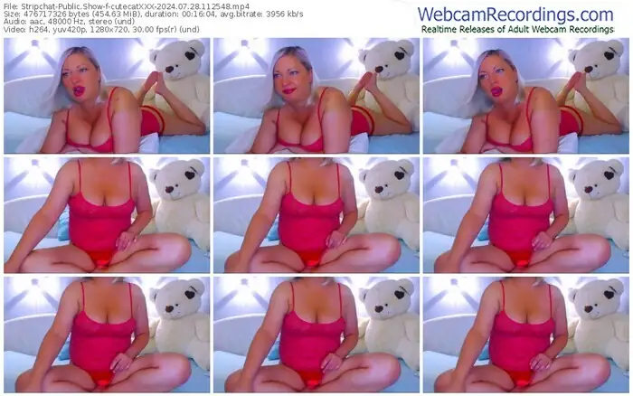 stripchat-cutecatxxx-07-28-2024-11-25-48