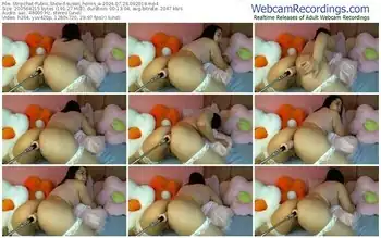 stripchat-susan_holms_a-07-28-2024-09-20-19