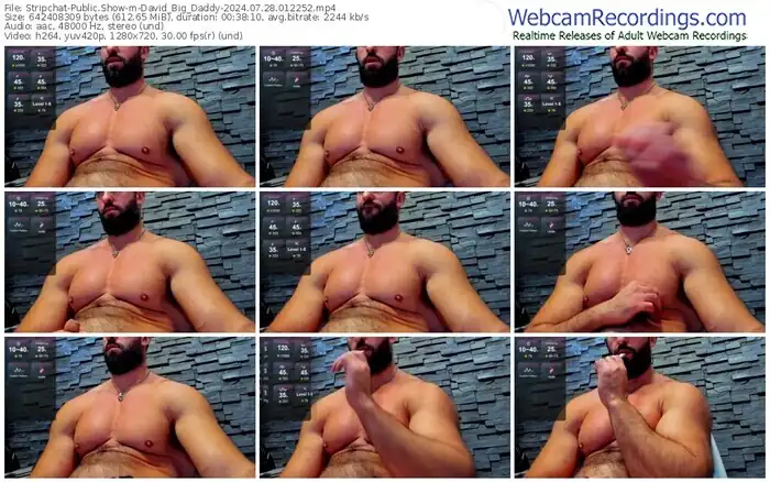 stripchat-david_big_daddy-07-28-2024-01-22-52