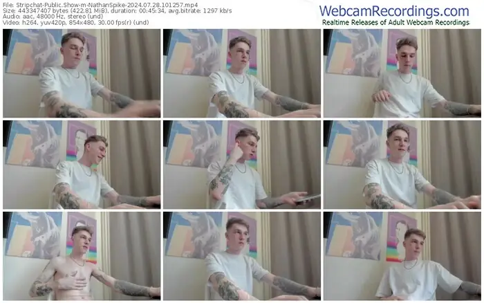 stripchat-nathanspike-07-28-2024-10-12-57