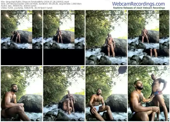 stripchat-toroandbilly-07-28-2024-20-09-21