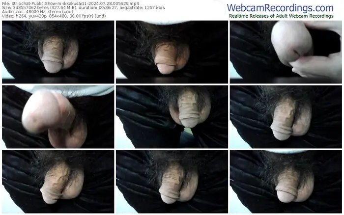 stripchat-ikkakusai11-07-28-2024-00-56-29