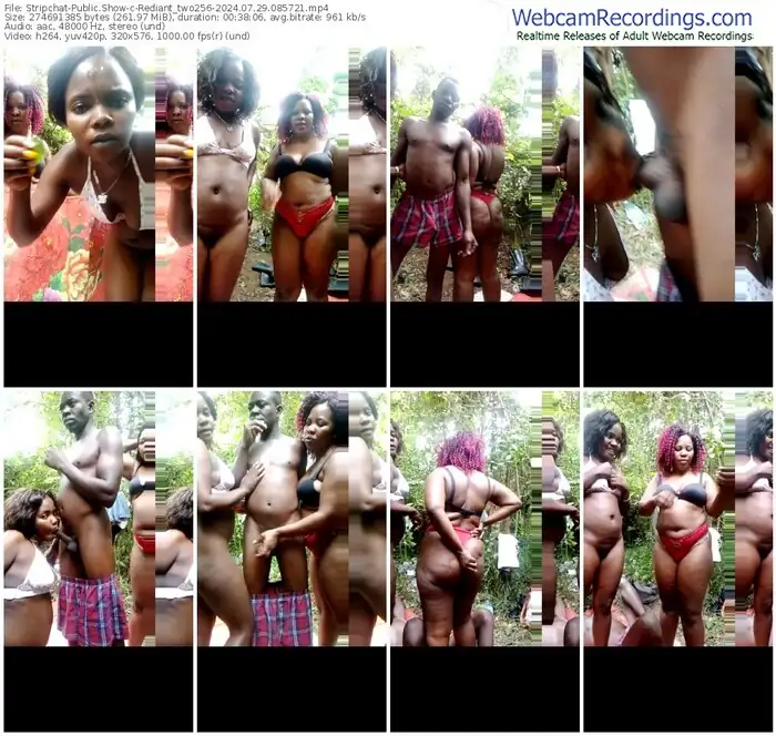 stripchat-rediant_two256-07-29-2024-08-57-21