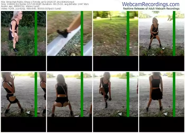 stripchat-timide_girl2-07-29-2024-18-36-24