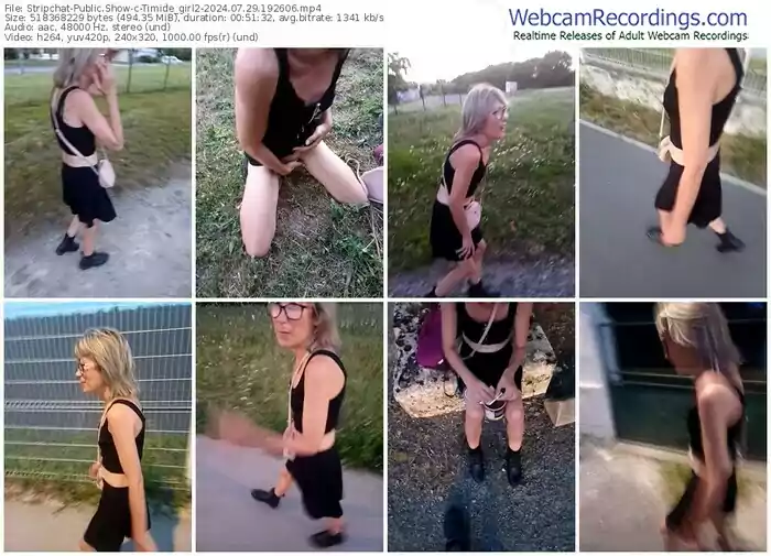 stripchat-timide_girl2-07-29-2024-19-26-06