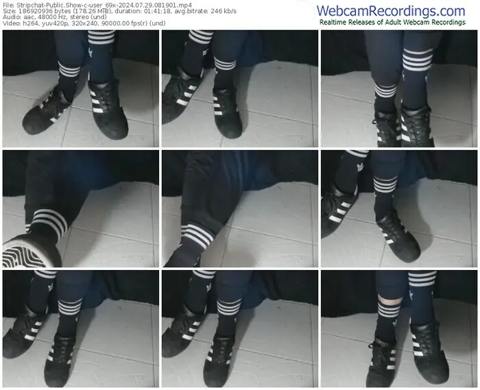stripchat-user_69x-07-29-2024-08-19-01