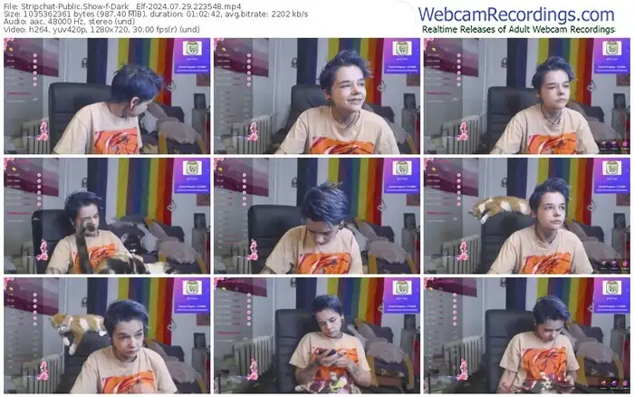 stripchat-dark__elf-07-29-2024-22-35-48