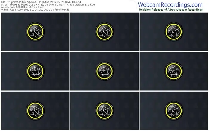 stripchat-hildblythe-07-29-2024-01-49-48