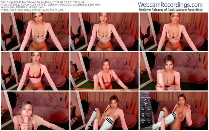 stripchat-shine_abby_-07-29-2024-12-13-32