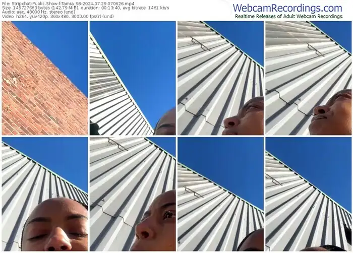 stripchat-tamia_98-07-29-2024-07-06-26