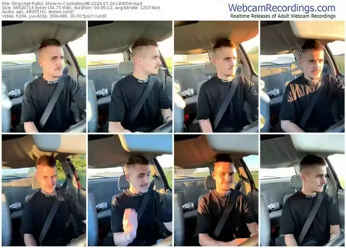 stripchat-cookieboy88-07-29-2024-18-45-59