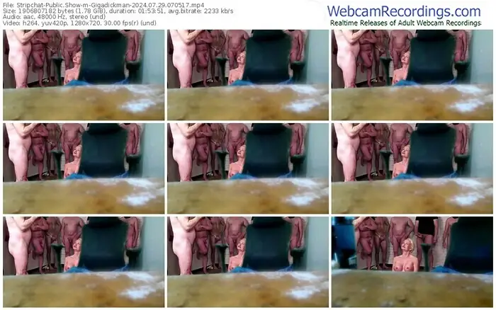 stripchat-gigadickman-07-29-2024-07-05-17