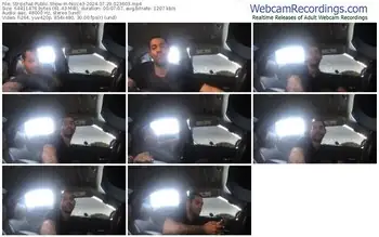 stripchat-niiice3-07-29-2024-02-36-03